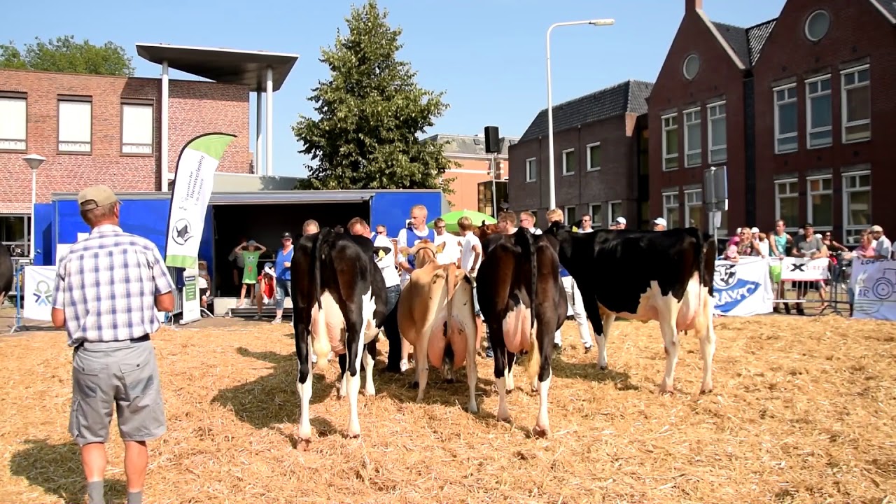 Ook warm bij veekeuring Balk