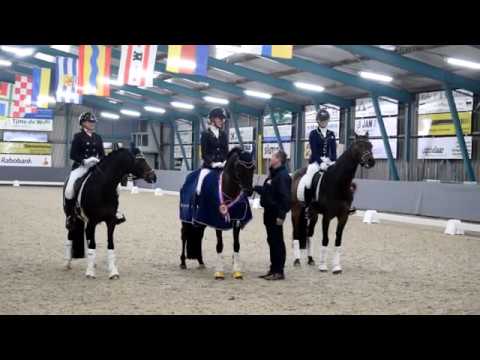 Friese kampioenschappen KNHS in manege Gaasterland