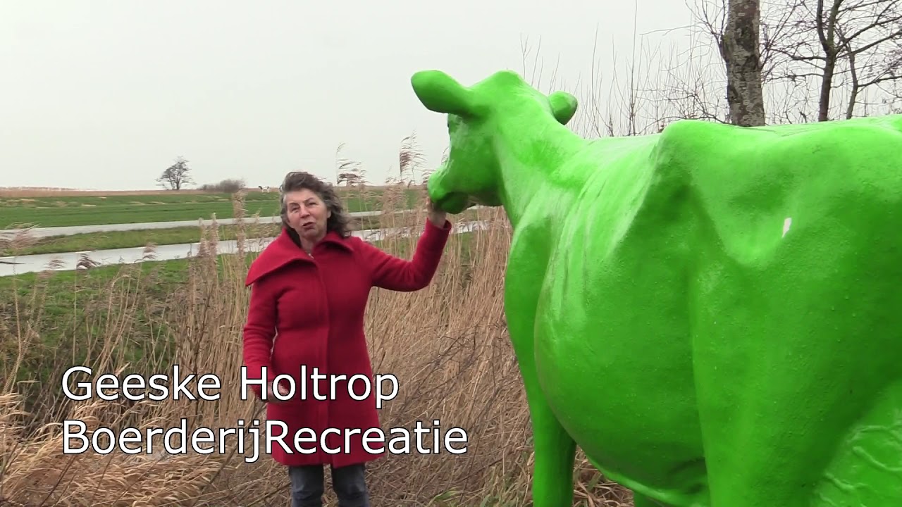 Geitefok leent koeien BoerderijRecreatie
