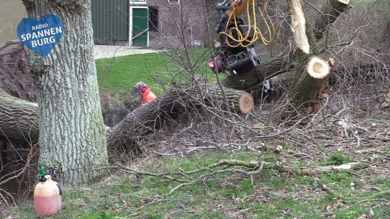 Rondje door De Fryske Marren