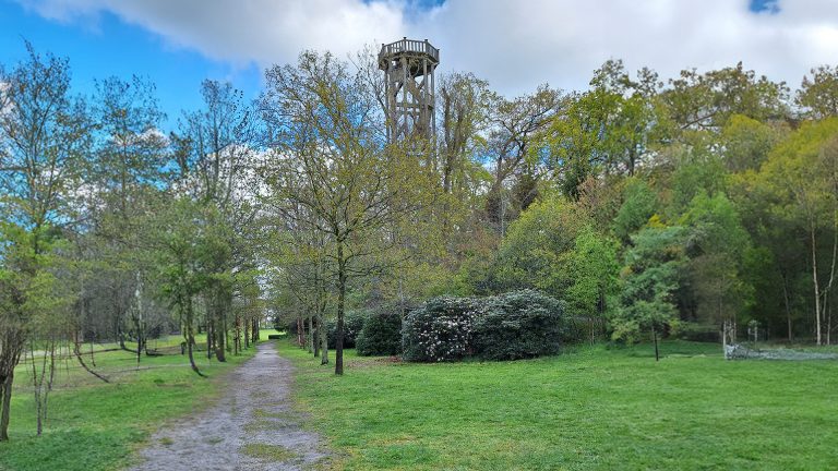 Herstel fundering toren Belvedère in Oranjewoud gaat binnenkort van start