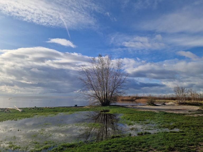 Wandelen door de Zuiderfennenpolder, markten en Brêgepop: dit kun je deze week doen