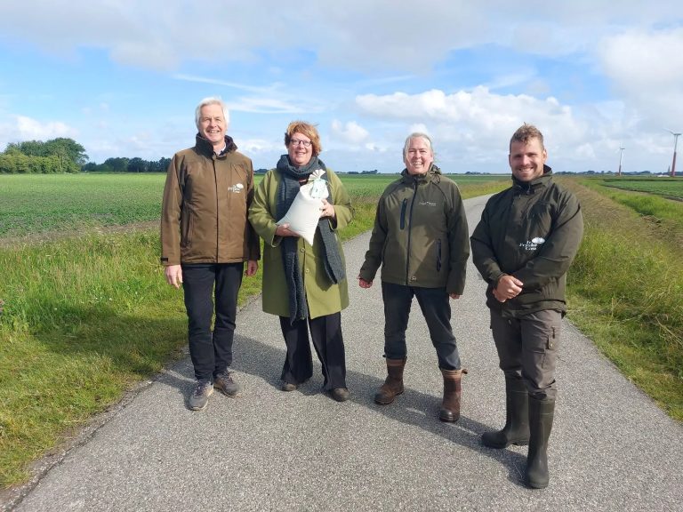 Friese zadenmengsels moeten biodiversiteit in natuur gaan versterken