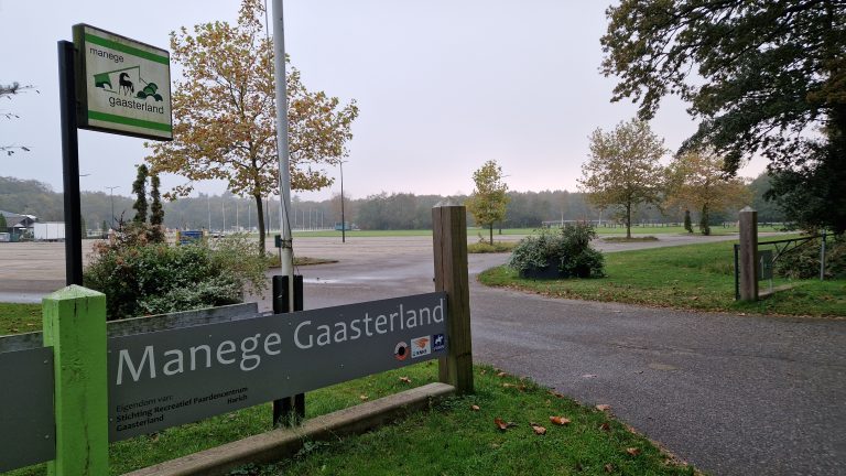 Van Trickriding tot Tuigpaarden: Beleef het Concours Hippique Rijs