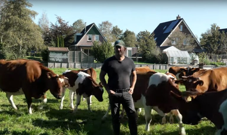 Documentaire van Harm Nijholt over boer Teun van der Meer