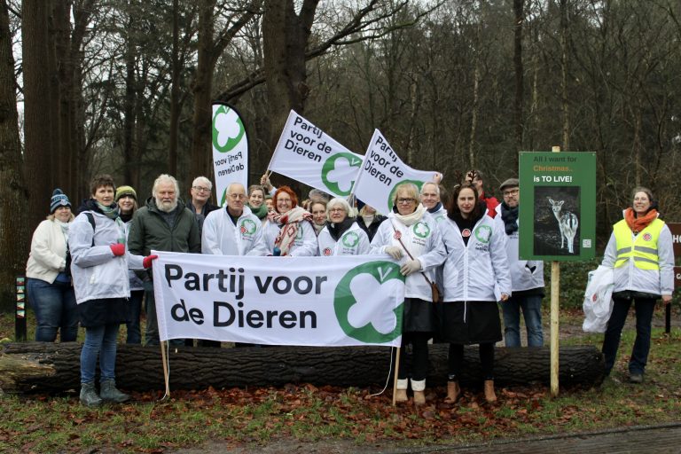 Partij voor de Dieren fel gekant tegen afschot van 200 damherten