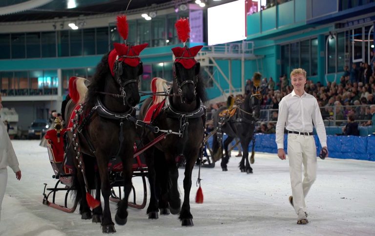 Friese paarden strijden op het ijs bij het NK Beljeien