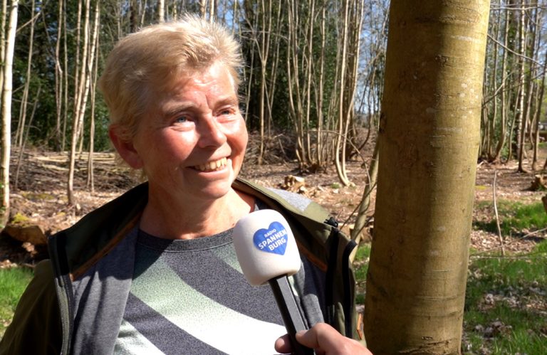 Vrijwilligers helpen stinzenplanten: “Je moet voorkomen dat ze overwoekerd raken”
