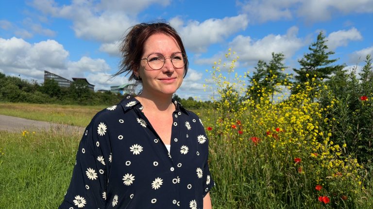 Zomer volgt droog voorjaar op: “200 zonuren meer dan normaal”
