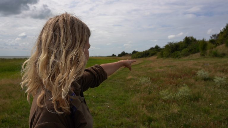 Langs het Oudemirdumerklif: Een reis door natuur én geschiedenis