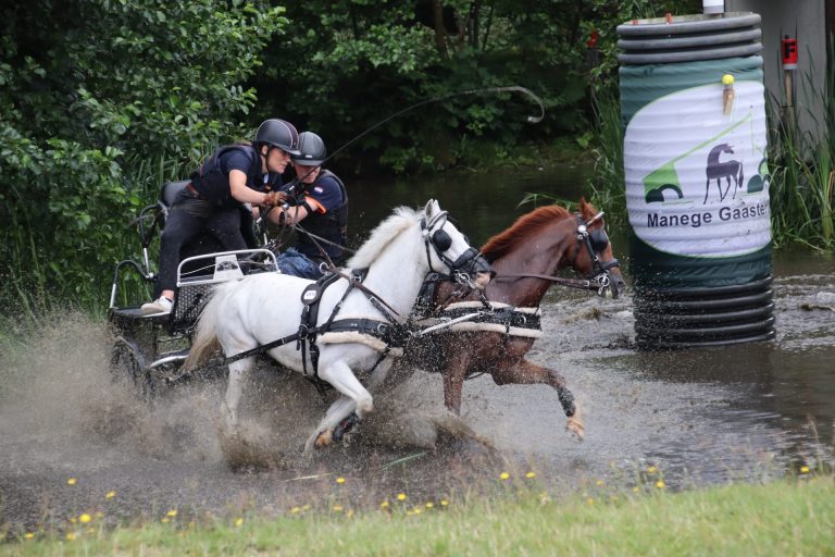 Internationaal paardenspektakel in Harich: “De waterbak blijft favoriet”