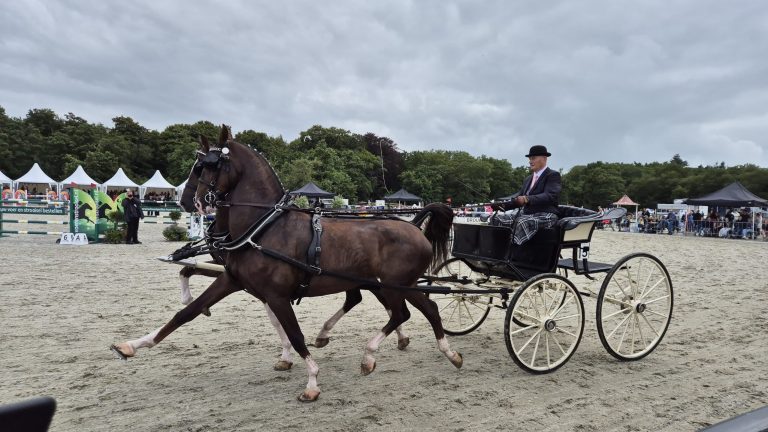 Radio Spannenburg live vanaf Concours Hippique