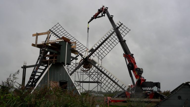Groot onderhoud voor Geaupoldermole