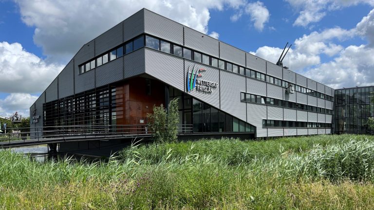 Waterschap haalt dode vissen weg bij Lemmer