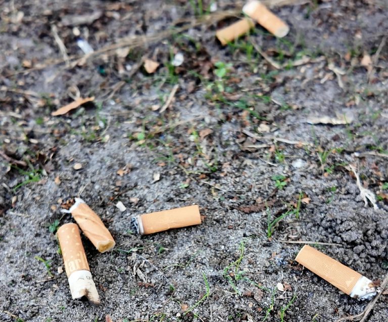 Peukjes op straat