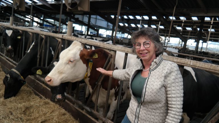 Wat doet een gemeenteraadslid en hoe kun je meedoen?