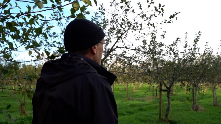 Van Boerderij naar Ciderij: Yntema’s ‘paad werom’