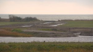 Natuurgebied De Mokkebank