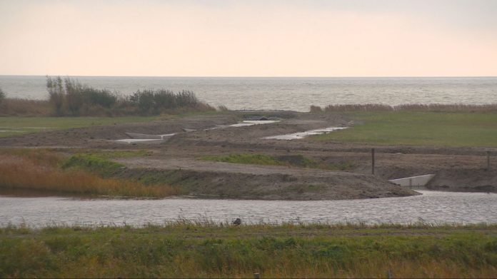 Natuurgebied De Mokkebank