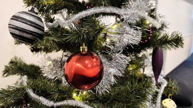 Geef je kerstboom een tweede leven: doe mee aan de inzamelactie