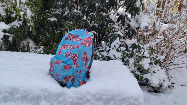 Eerste schooldag van 2026 valt in duigen – Sneeuwvrij vandaag