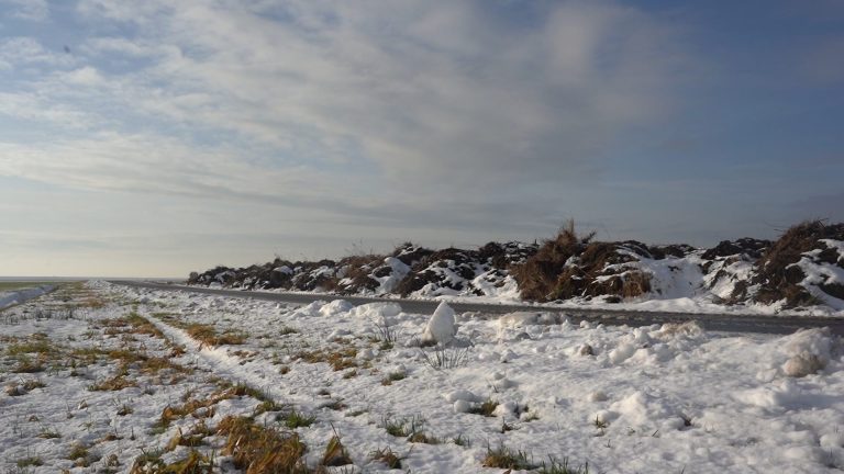 Zelfs voor deze winterse evenementen is het te winters weer