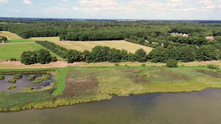 Wereld Kanker Wandeling in Rijs – praten en verbinden in de natuur