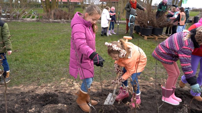 Kinderen planten bomen in Sint Nyk – “Daar kunnen beestjes in wonen”