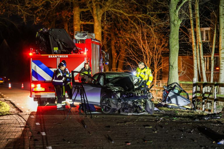 Automobilist (19) overlijdt na frontale botsing tegen boom bij Rotsterhaule