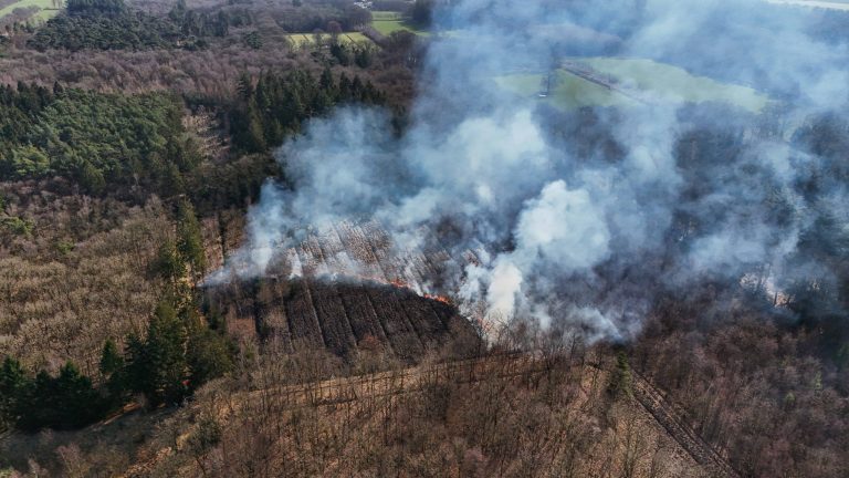 Bosbrand Oranjewoud