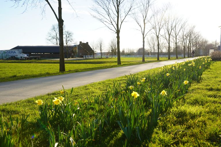 Is de lente nu echt begonnen?