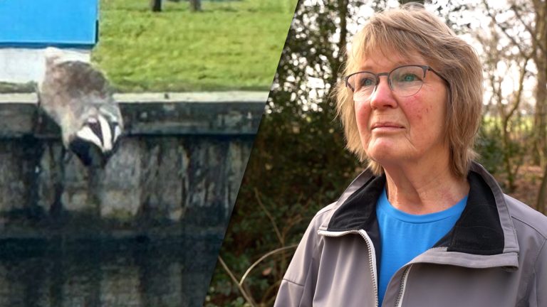 “Hij was heel erg in de war”: Das gespot in Lemmer
