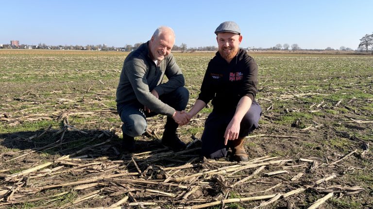 Eerste kievitsei van Fryslân gevonden bij Nijehaske
