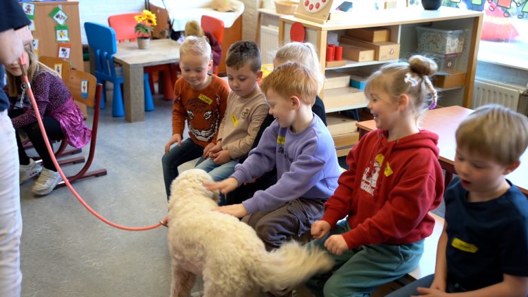 150.000 hondenbeten per jaar: Jonge kinderen leren omgaan met honden