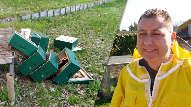 Jongens die bijenkasten in Joure vernielden, helpen imker Peter met de reparatie
