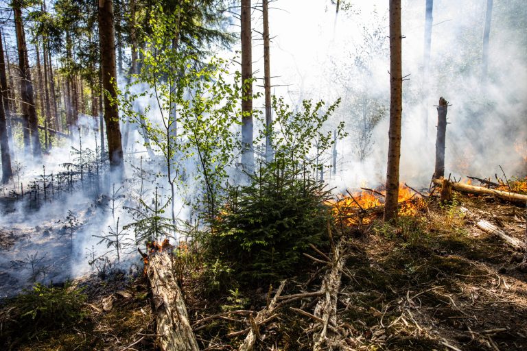 Stuk bos in brand bij Ouwsterhaule.