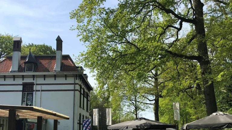 Update: oplichter B&B Rijsterbosch opgepakt na oproep