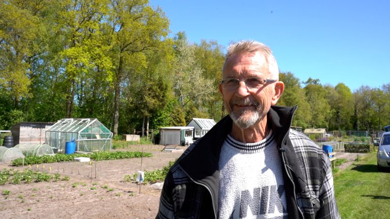 Rinus (70) uit Sint Nyk dagelijks in de moestuin: “Ast it sels dochst, witst watst ytst”