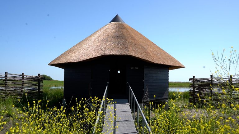 Mokkebank ontwikkelt zich tot waardevolle kraamkamer voor vogels en vissen