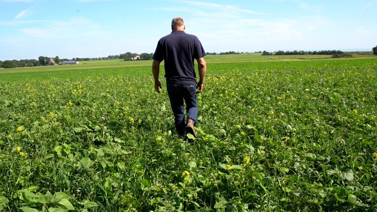 Einde aan bollenteelt Oudemirdum na succesvol burgerinitiatief