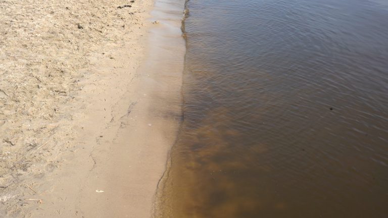 Verboden landbouwgif blijft via huisdieren in het milieu