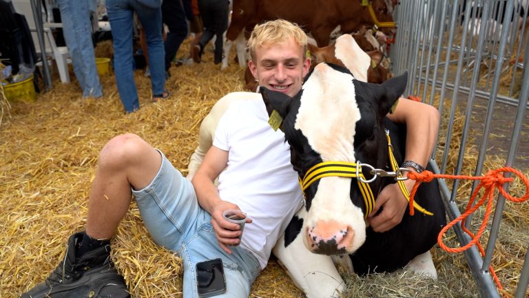 Veekeuring Balk toont topdieren én passie van boeren