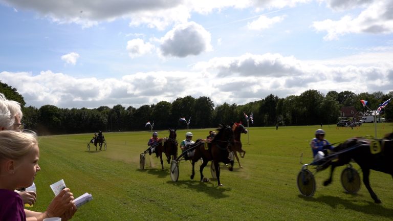Wedden op paarden in Joure: “Hier merk je hoe hard het gaat”