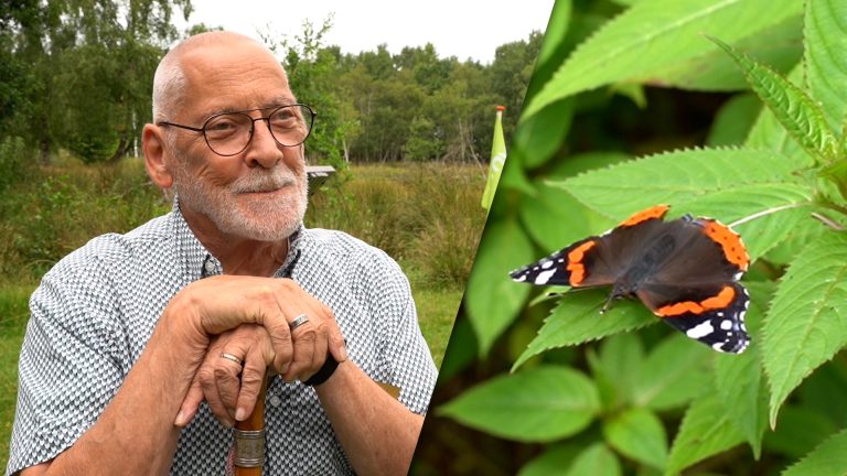 Geen geraniums, maar vlinders voor Adriaan: Werkgroep bestaat 35 jaar