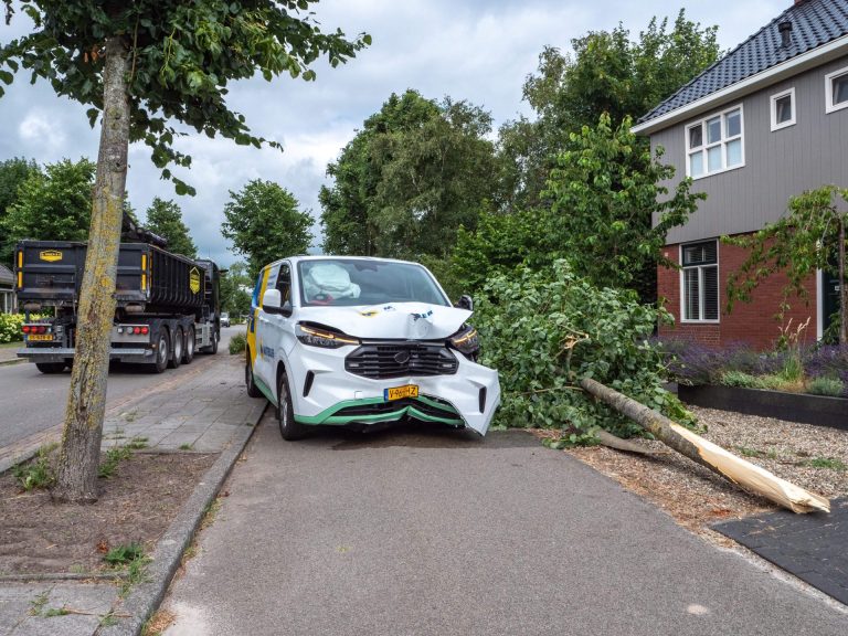 Bestelbus rijdt boom uit de grond in Tsjerkgaast