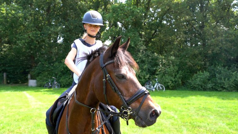 Snelheid en precisie tijdens Paardenmarathon Sint Nyk