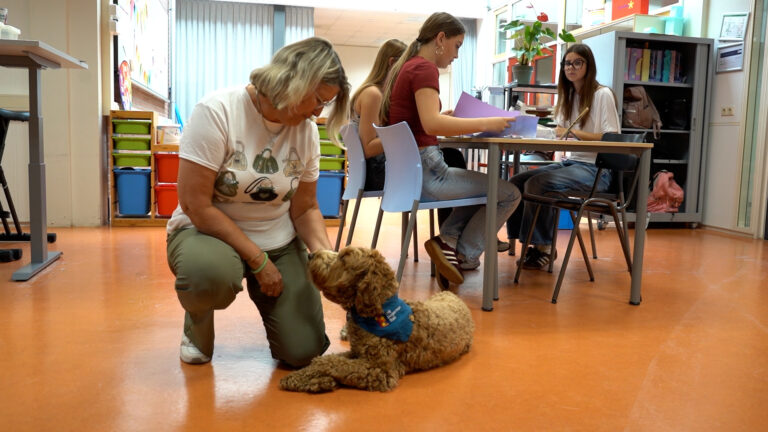 Schoolhond Sem zorgt voor rust en troost: “it is in prachthûn”