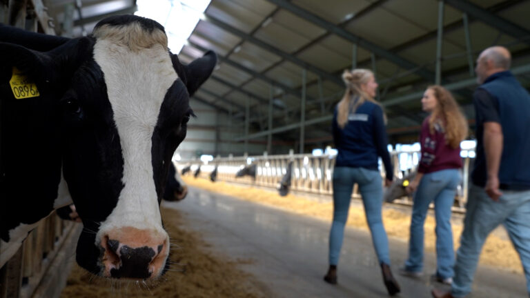 De dag van de boerin: “Boerinnen nemen vaker het voortouw”