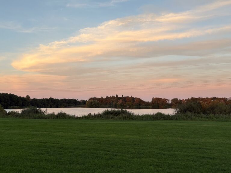 Vijver Eesterga