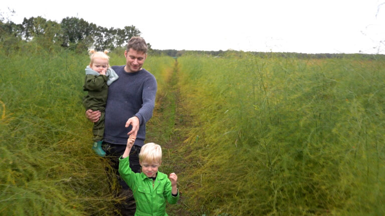 Telers Gaasterlandse asperges willen alles op één locatie: “net de babyfoon by de buorlje”